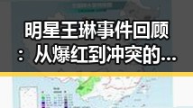 明星王琳事件回顾：从爆红到冲突的完整时间线