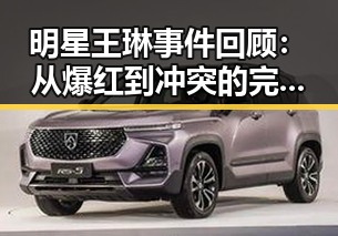 明星王琳事件回顾：从爆红到冲突的完整时间线
