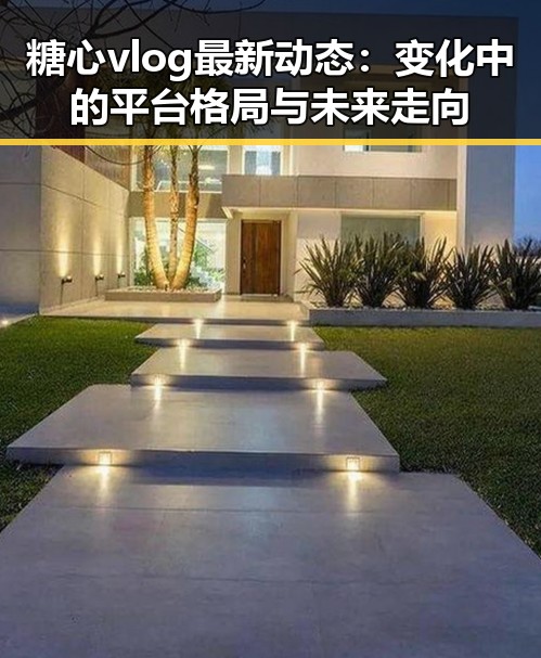 糖心vlog最新动态：变化中的平台格局与未来走向