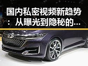 国内私密视频新趋势：从曝光到隐秘的变革