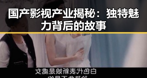 国产影视产业揭秘:独特魅力背后的故事