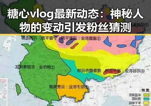 糖心vlog最新动态:神秘人物的变动引发粉丝猜测